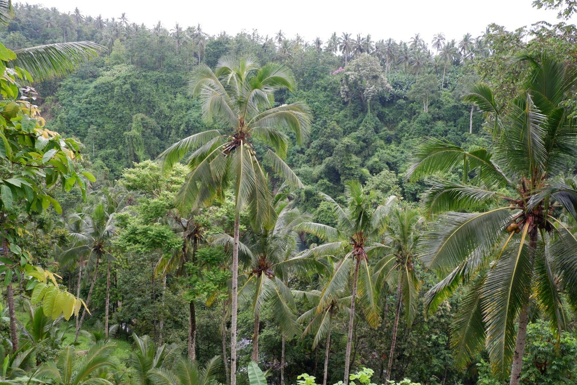 Aum Resort 普卢坎 外观 照片